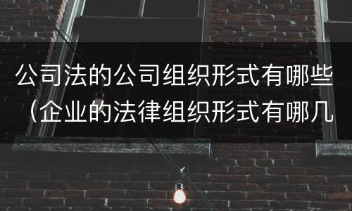 公司法的公司组织形式有哪些（企业的法律组织形式有哪几种）
