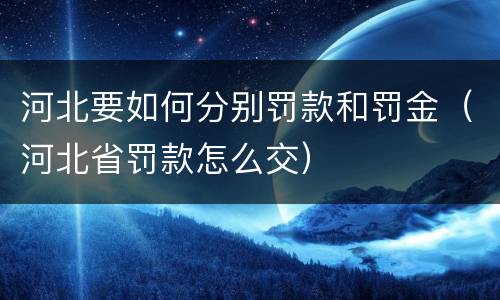 河北要如何分别罚款和罚金（河北省罚款怎么交）