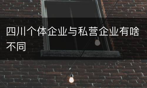 四川个体企业与私营企业有啥不同