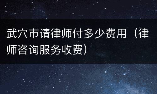 武穴市请律师付多少费用（律师咨询服务收费）