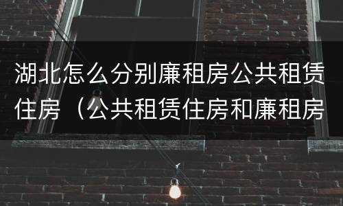 湖北怎么分别廉租房公共租赁住房（公共租赁住房和廉租房）