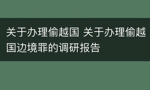 关于办理偷越国 关于办理偷越国边境罪的调研报告