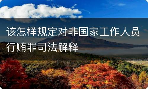 该怎样规定对非国家工作人员行贿罪司法解释