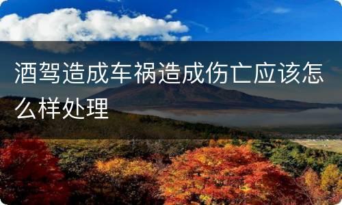 酒驾造成车祸造成伤亡应该怎么样处理
