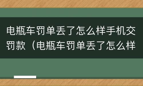 电瓶车罚单丢了怎么样手机交罚款（电瓶车罚单丢了怎么样手机交罚款呢）