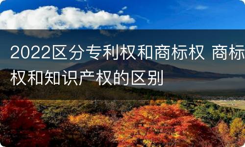 2022区分专利权和商标权 商标权和知识产权的区别