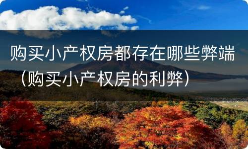 购买小产权房都存在哪些弊端（购买小产权房的利弊）