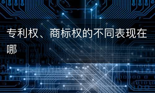 专利权、商标权的不同表现在哪