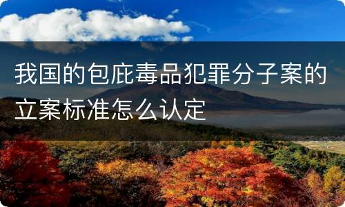 我国的包庇毒品犯罪分子案的立案标准怎么认定
