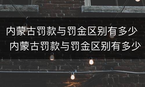 内蒙古罚款与罚金区别有多少 内蒙古罚款与罚金区别有多少个