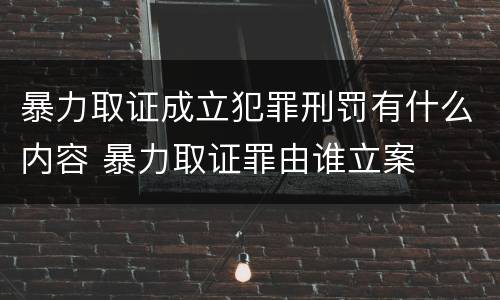 暴力取证成立犯罪刑罚有什么内容 暴力取证罪由谁立案