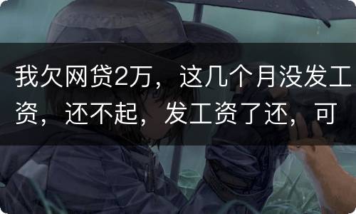 我欠网贷2万，这几个月没发工资，还不起，发工资了还，可以吗