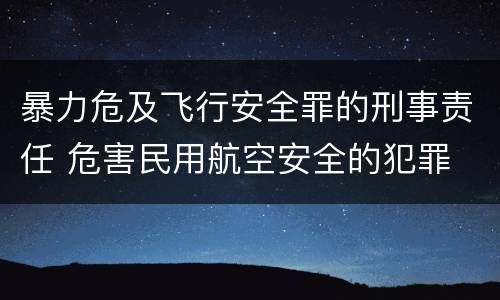 暴力危及飞行安全罪的刑事责任 危害民用航空安全的犯罪