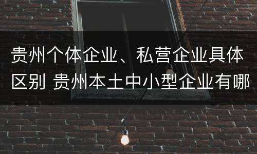 贵州个体企业、私营企业具体区别 贵州本土中小型企业有哪些