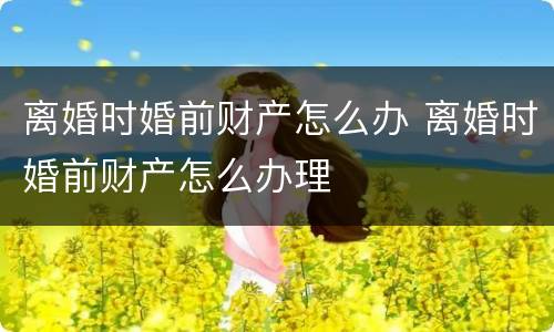 离婚时婚前财产怎么办 离婚时婚前财产怎么办理