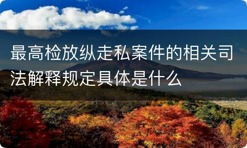 最高检放纵走私案件的相关司法解释规定具体是什么