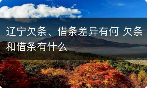 辽宁欠条、借条差异有何 欠条和借条有什么