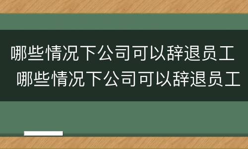 哪些情况下公司可以辞退员工 哪些情况下公司可以辞退员工赔偿
