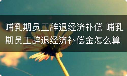 哺乳期员工辞退经济补偿 哺乳期员工辞退经济补偿金怎么算