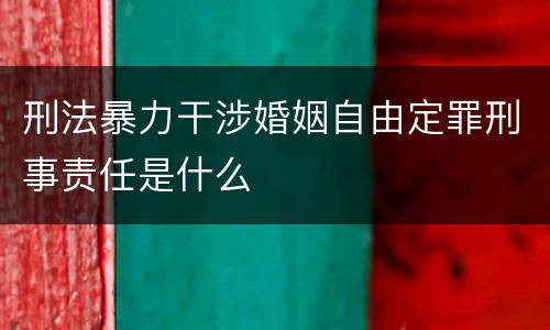 刑法暴力干涉婚姻自由定罪刑事责任是什么