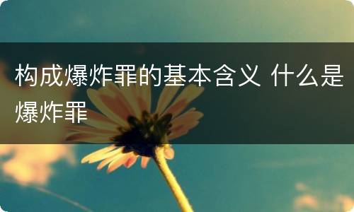 构成爆炸罪的基本含义 什么是爆炸罪