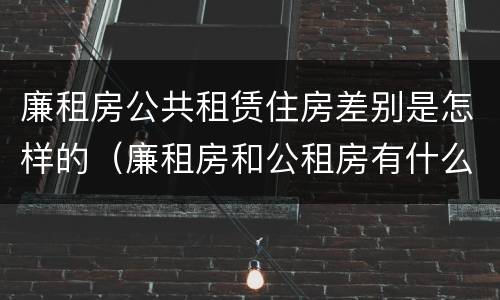 廉租房公共租赁住房差别是怎样的（廉租房和公租房有什么不同?）