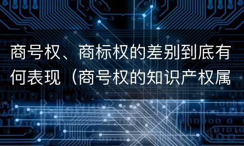 商号权、商标权的差别到底有何表现（商号权的知识产权属性）