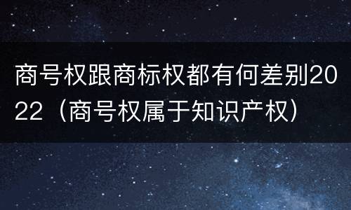 商号权跟商标权都有何差别2022（商号权属于知识产权）