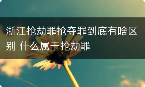 浙江抢劫罪抢夺罪到底有啥区别 什么属于抢劫罪