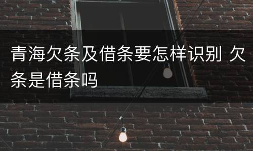 青海欠条及借条要怎样识别 欠条是借条吗