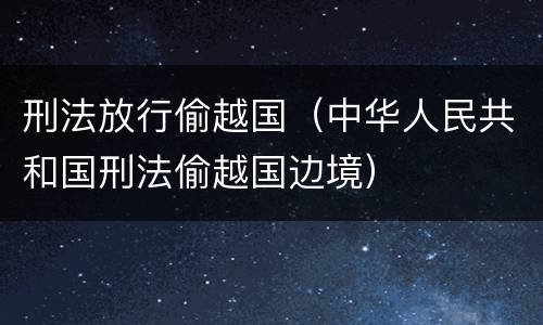 刑法放行偷越国（中华人民共和国刑法偷越国边境）