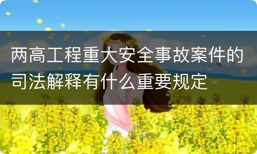 两高工程重大安全事故案件的司法解释有什么重要规定