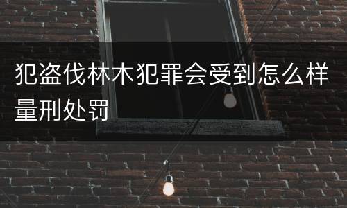 犯盗伐林木犯罪会受到怎么样量刑处罚