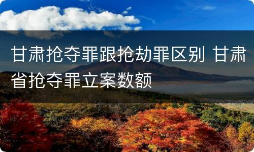 甘肃抢夺罪跟抢劫罪区别 甘肃省抢夺罪立案数额