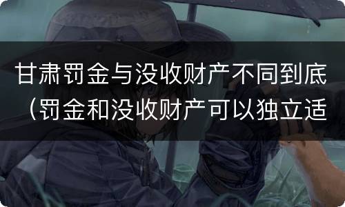 甘肃罚金与没收财产不同到底（罚金和没收财产可以独立适用吗）
