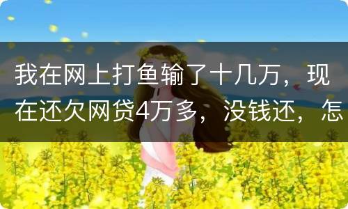 我在网上打鱼输了十几万，现在还欠网贷4万多，没钱还，怎么办