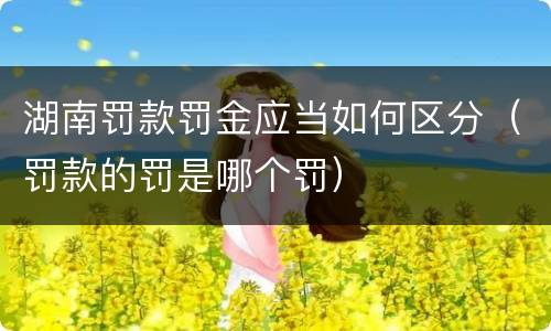湖南罚款罚金应当如何区分（罚款的罚是哪个罚）