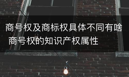 商号权及商标权具体不同有啥 商号权的知识产权属性