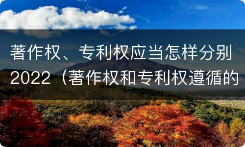 著作权、专利权应当怎样分别2022（著作权和专利权遵循的理念）