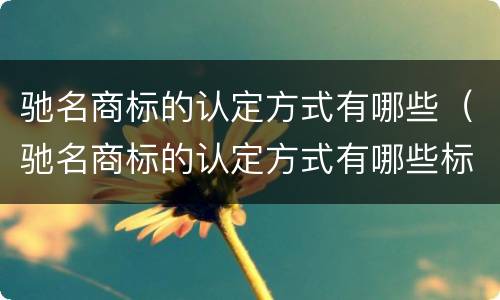 驰名商标的认定方式有哪些（驰名商标的认定方式有哪些标准）