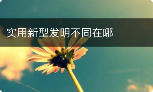 实用新型发明不同在哪