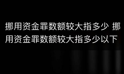 挪用资金罪数额较大指多少 挪用资金罪数额较大指多少以下