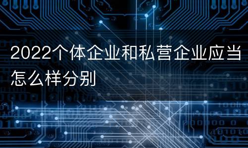 2022个体企业和私营企业应当怎么样分别