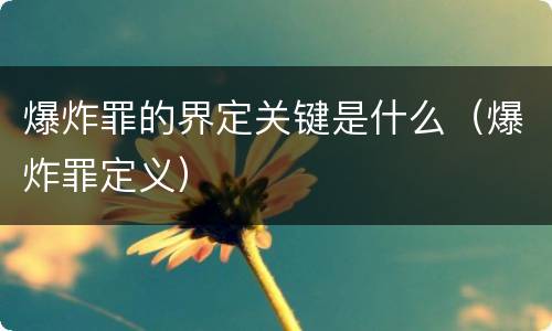 爆炸罪的界定关键是什么（爆炸罪定义）