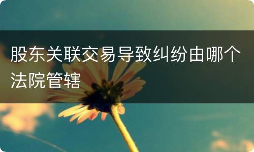 股东关联交易导致纠纷由哪个法院管辖