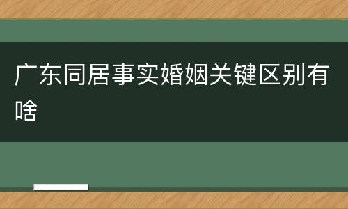 广东同居事实婚姻关键区别有啥