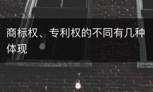 商标权、专利权的不同有几种体现