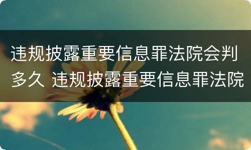 违规披露重要信息罪法院会判多久 违规披露重要信息罪法院会判多久呢