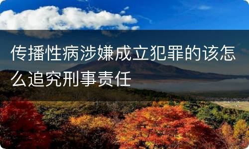 传播性病涉嫌成立犯罪的该怎么追究刑事责任