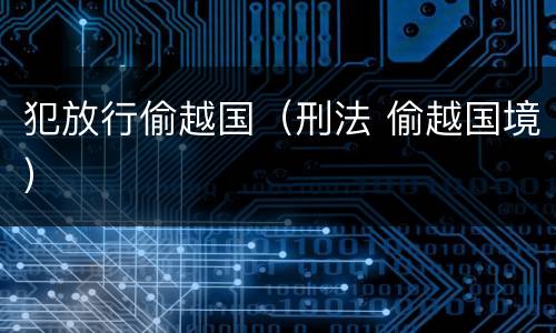 犯放行偷越国（刑法 偷越国境）